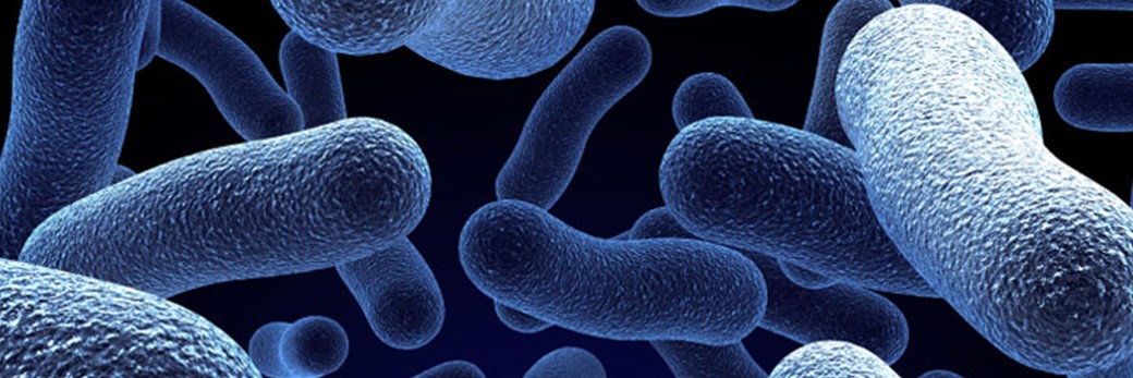 Legionella / Doença dos legionários