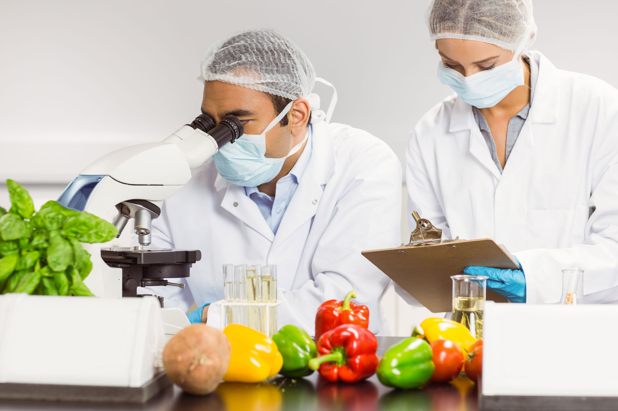 Técnicos em análise alimentar