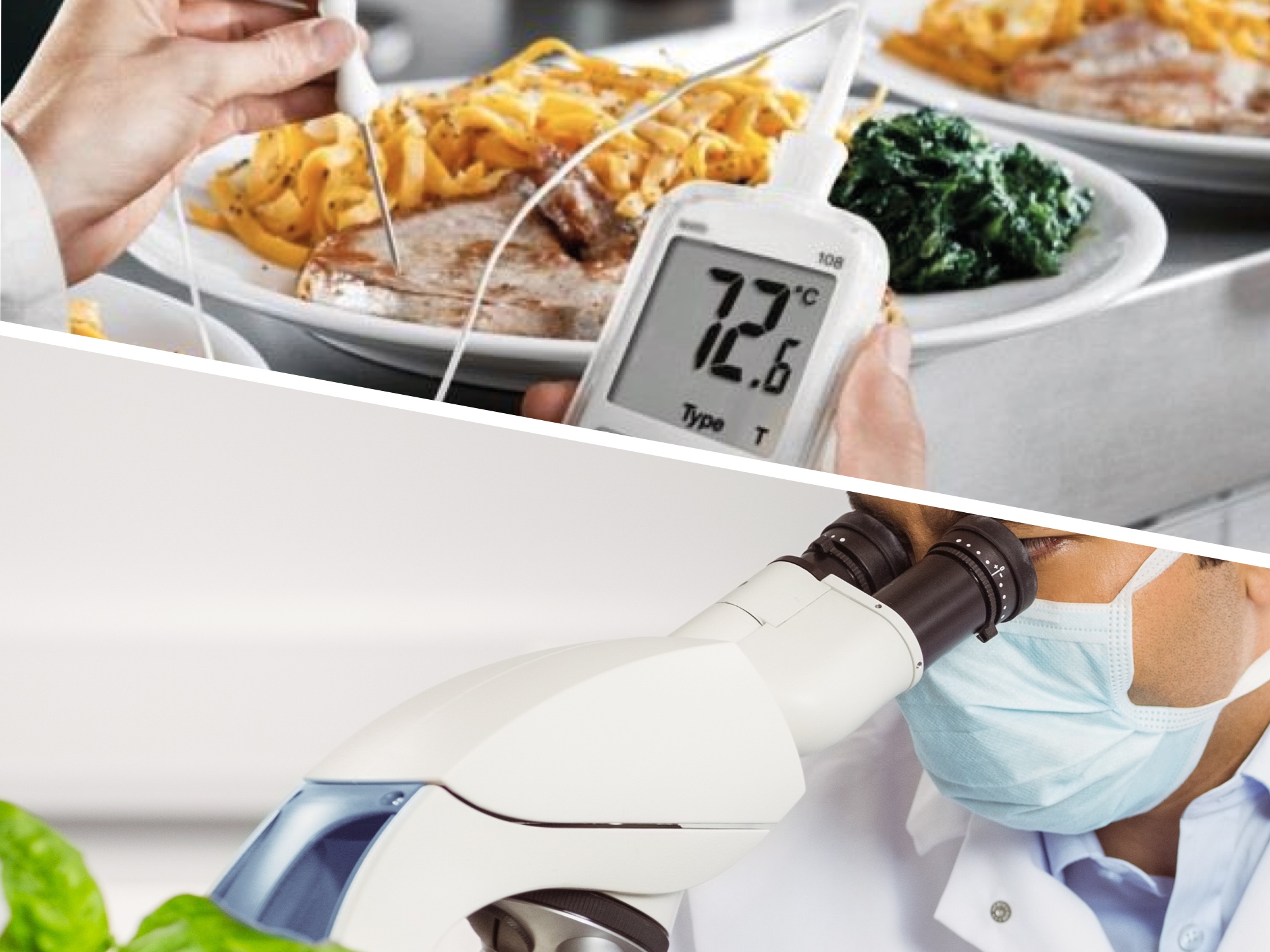 Equipamento de análise alimentar